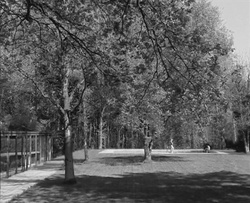 Villa Corthout, still
